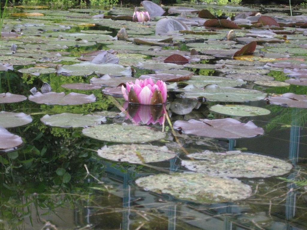 ホテル Stiftsgarden Akersberg Höör エクステリア 写真